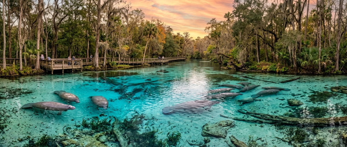 Scenic view of Orange City, Florida